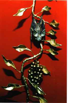 Billy Bat on his Golden Vine